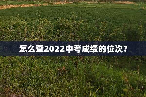 怎么查2022中考成绩的位次？