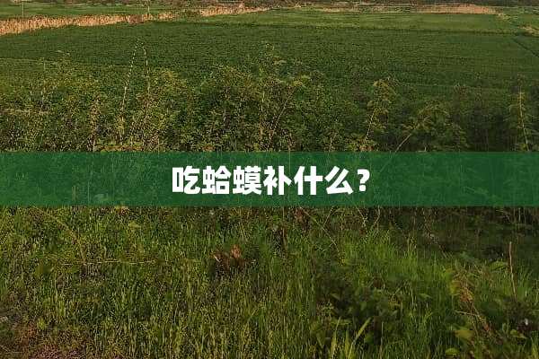 吃蛤蟆补什么？