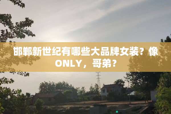邯郸新世纪有哪些大品牌女装？像ONLY，哥弟？