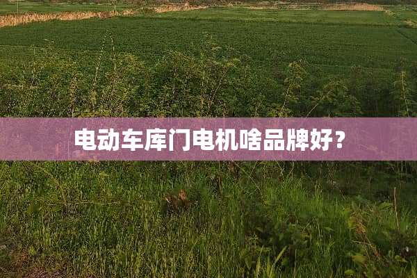 电动车库门电机啥品牌好？