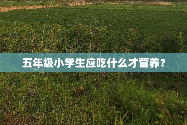 五年级小学生应吃什么才营养？
