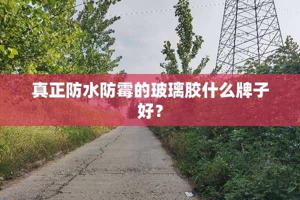 真正防水防霉的玻璃胶什么牌子好？