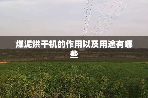 煤泥烘干机的作用以及用途有哪些