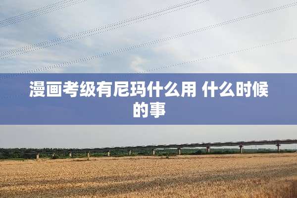 漫画考级有尼玛什么用 什么时候的事