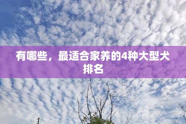有哪些，最适合家养的4种大型犬排名