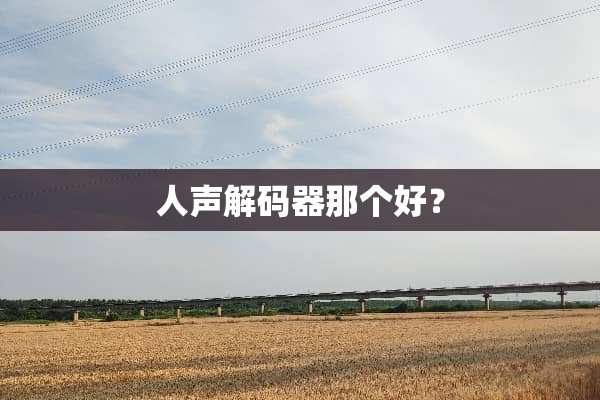 人声**器那个好？
