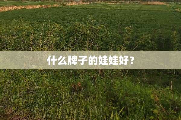 什么牌子的娃娃好？