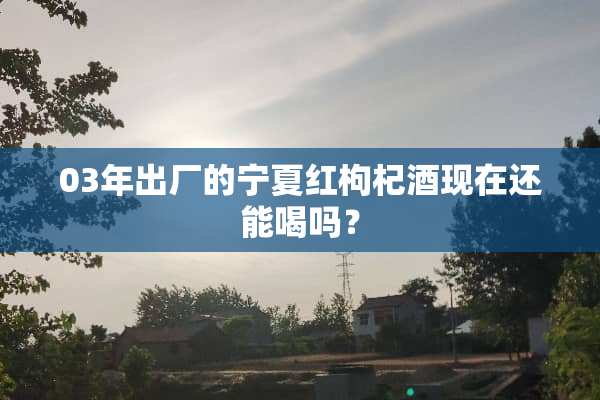 03年出厂的宁夏红枸杞酒现在还能喝吗？