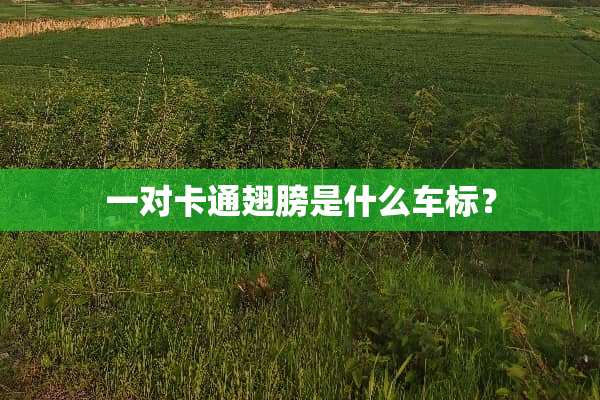 一对卡通翅膀是什么车标？