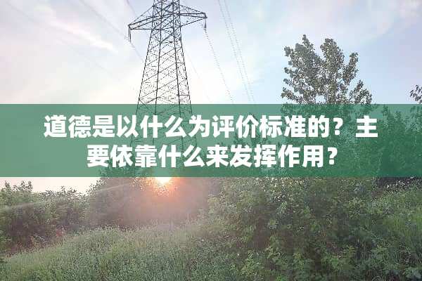 道德是以什么为评价标准的？主要依靠什么来发挥作用？