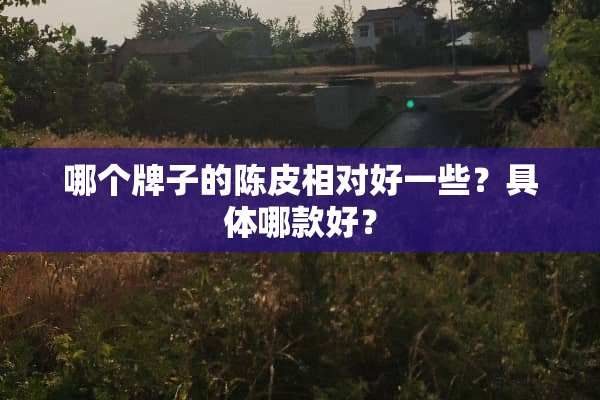 哪个牌子的陈皮相对好一些？具体哪款好？