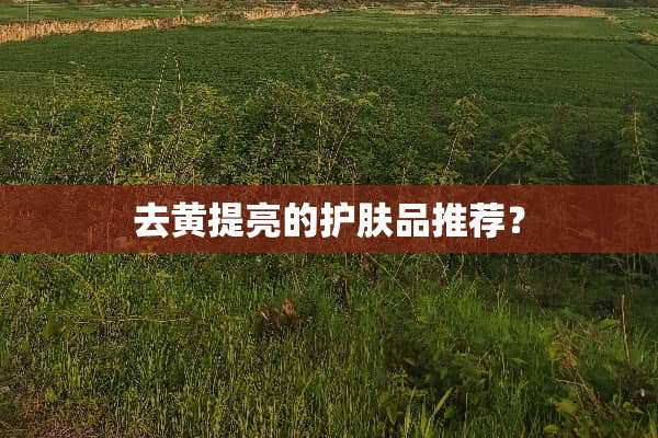 去黄提亮的护肤品推荐？