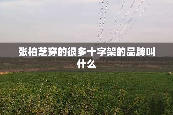张柏芝穿的很多十字架的品牌叫什么