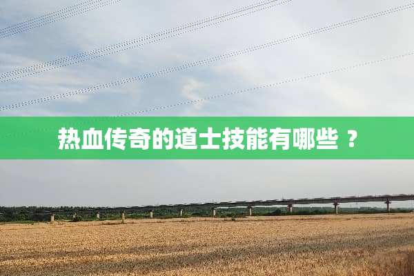 热血传奇的道士技能有哪些 ？