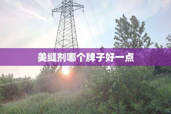 美缝剂哪个牌子好一点