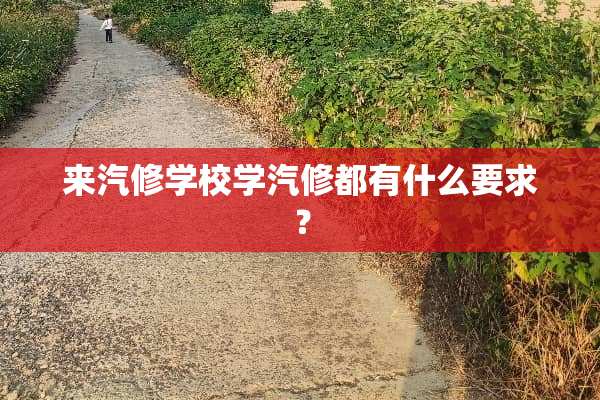 来汽修学校学汽修都有什么要求？
