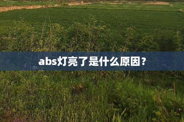 abs灯亮了是什么原因？
