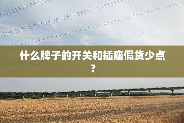 什么牌子的开关和插座假货少点？