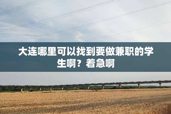 大连哪里可以找到要做兼职的学生啊？着急啊