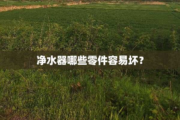 ***哪些零件容易坏？
