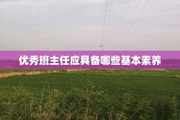 优秀班主任应具备哪些基本素养