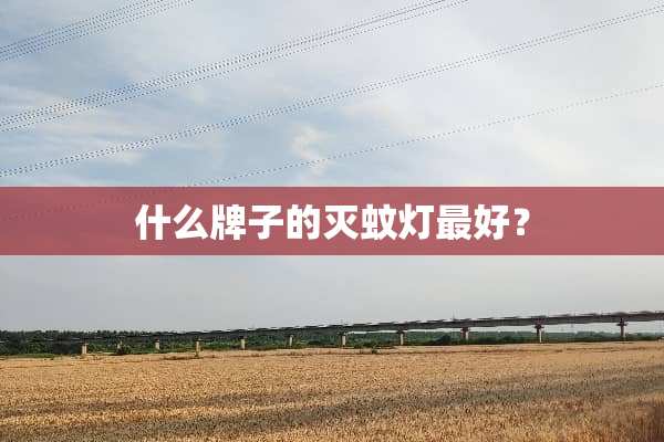 什么牌子的灭蚊灯最好？