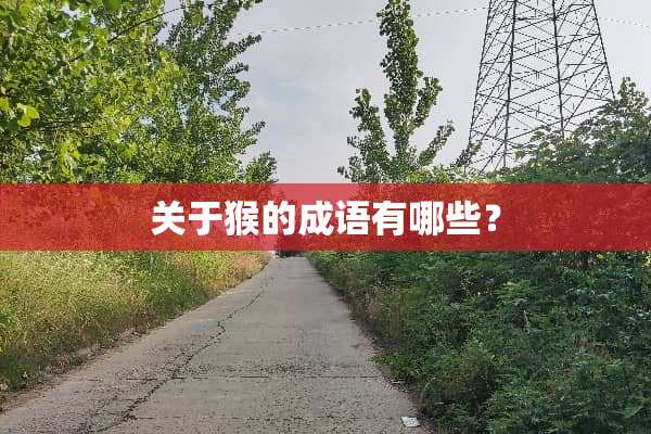关于猴的成语有哪些？