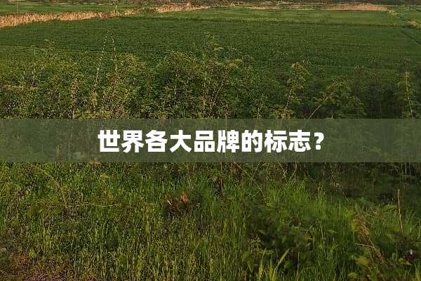 世界各大品牌的标志？