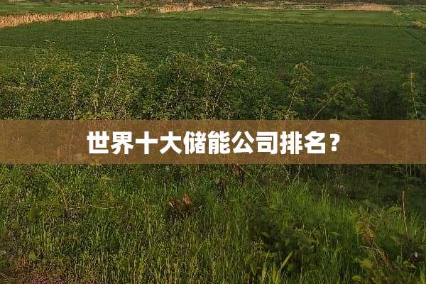 世界十大储能公司排名？
