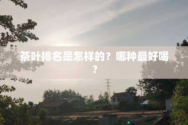 茶叶排名是怎样的？哪种最好喝？