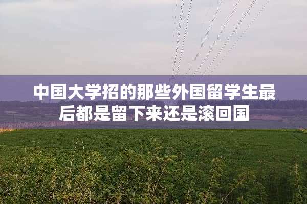 中国大学招的那些外国留学生最后都是留下来还是滚回国