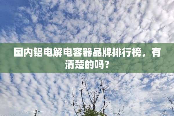 国内铝电解电容器品牌排行榜，有清楚的吗？