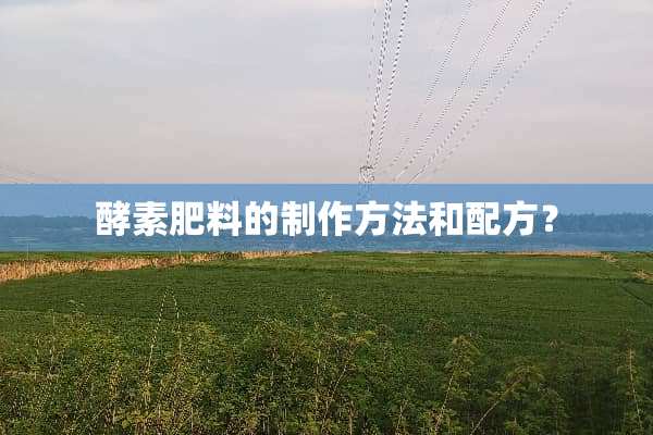 酵素肥料的制作方法和配方？