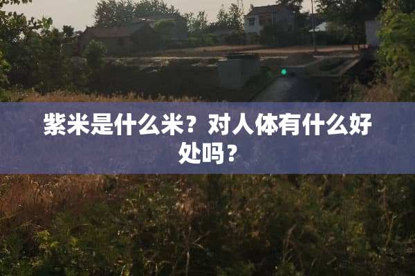 紫米是什么米？对人体有什么好处吗？