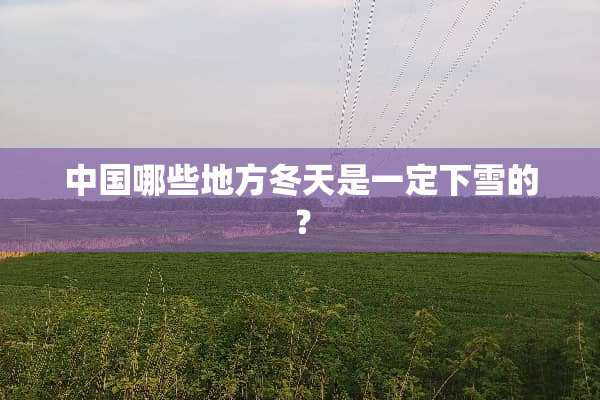 中国哪些地方冬天是一定下雪的？