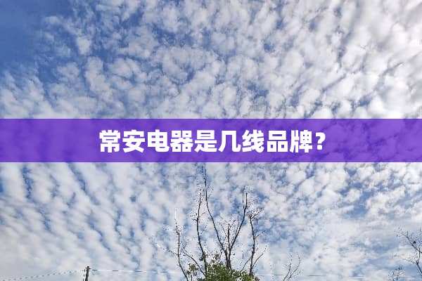 常安电器是几线品牌？