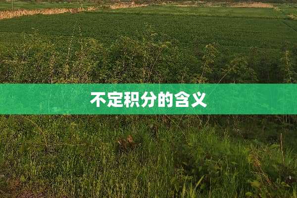 不定积分的含义