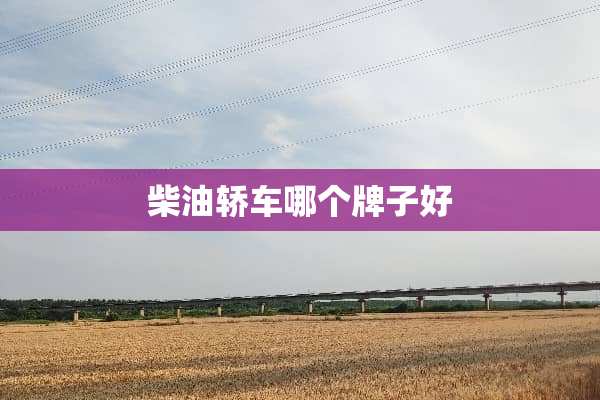 柴油轿车哪个牌子好