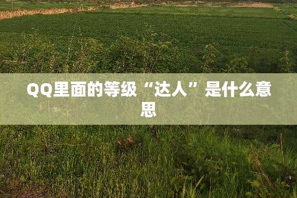 QQ里面的等级“达人”是什么意思