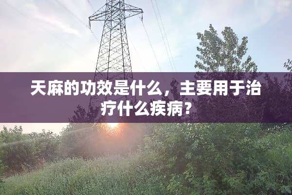 天麻的功效是什么，主要用于治疗什么疾病？