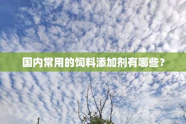 国内常用的饲料添加剂有哪些？