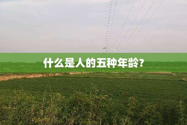 什么是人的五种年龄？