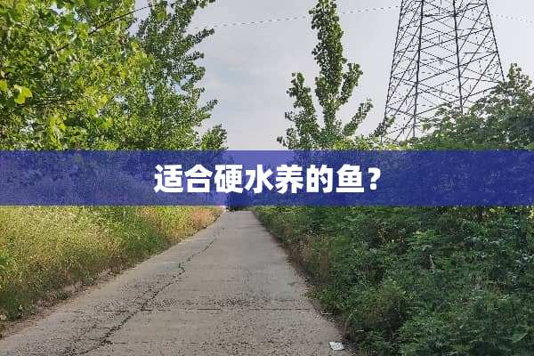适合硬水养的鱼？