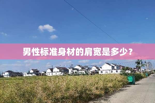 男性标准身材的肩宽是多少？
