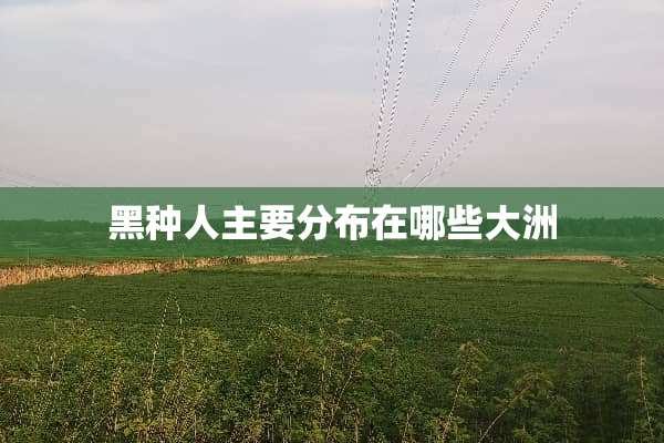 黑种人主要分布在哪些大洲