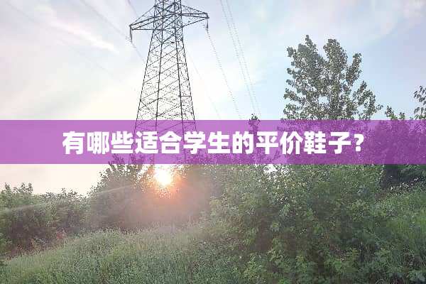 有哪些适合学生的平价鞋子？