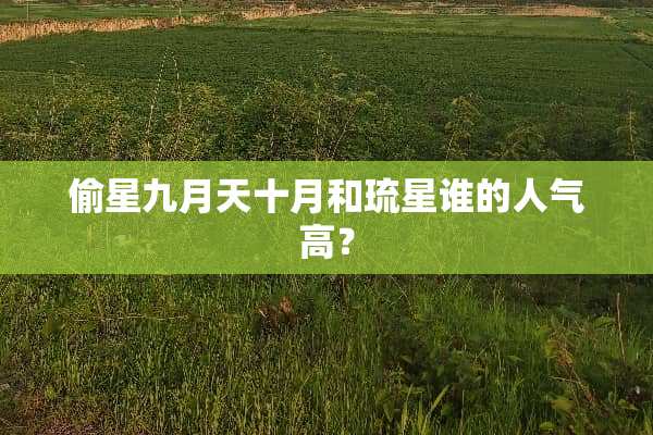 偷星九月天十月和琉星谁的人气高？