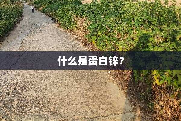 什么是蛋白锌？