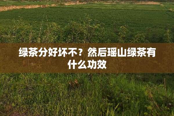 绿茶分好坏不？然后瑶山绿茶有什么功效