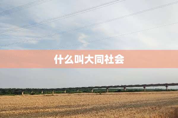什么叫大同社会